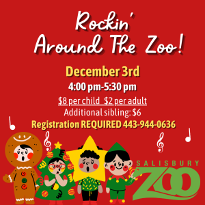 Rockin' Around The Zoo Poster (instagram Post)(1)