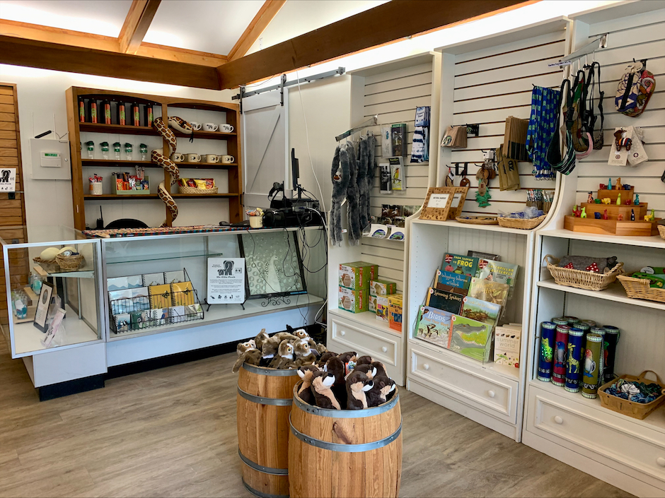 image of the shop interior